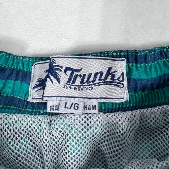 swim trucks shorts - Picture 4 of 9